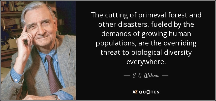 The cutting of primeval forest and other disasters, fueled by the demands of growing human populations, are the overriding threat to biological diversity everywhere. - E. O. Wilson