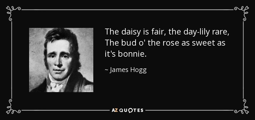 The daisy is fair, the day-lily rare, The bud o' the rose as sweet as it's bonnie. - James Hogg