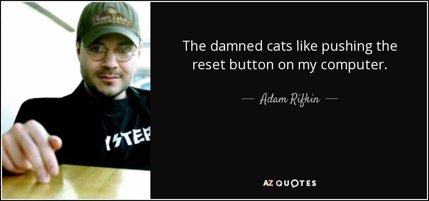 The damned cats like pushing the reset button on my computer. - Adam Rifkin
