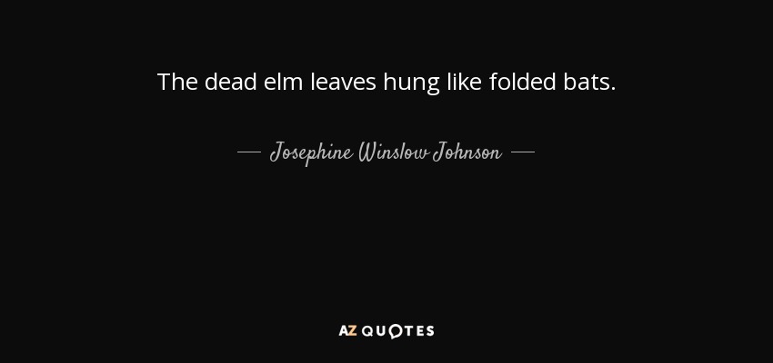 The dead elm leaves hung like folded bats. - Josephine Winslow Johnson