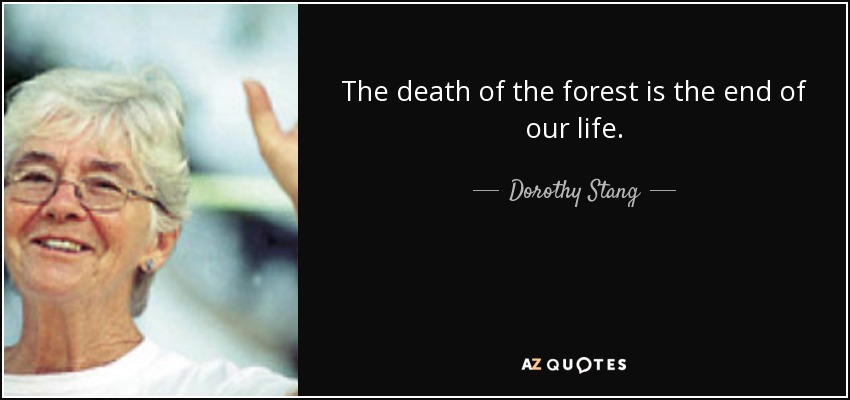 The death of the forest is the end of our life. - Dorothy Stang