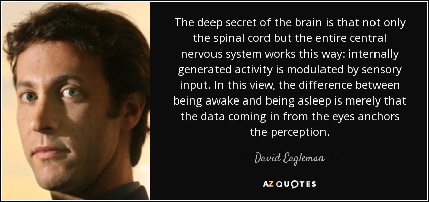 The deep secret of the brain is that not only the spinal cord but the entire central nervous system works this way: internally generated activity is modulated by sensory input. In this view, the difference between being awake and being asleep is merely that the data coming in from the eyes anchors the perception. - David Eagleman