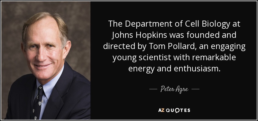The Department of Cell Biology at Johns Hopkins was founded and directed by Tom Pollard, an engaging young scientist with remarkable energy and enthusiasm. - Peter Agre