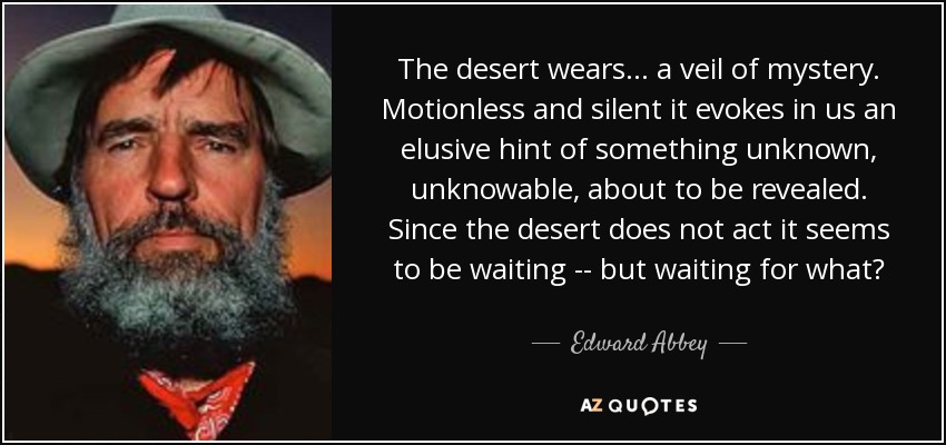 The desert wears... a veil of mystery. Motionless and silent it evokes in us an elusive hint of something unknown, unknowable, about to be revealed. Since the desert does not act it seems to be waiting -- but waiting for what? - Edward Abbey