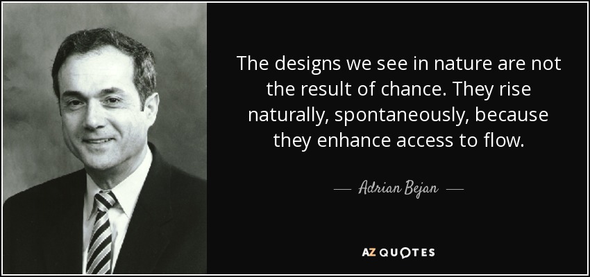 The designs we see in nature are not the result of chance. They rise naturally, spontaneously, because they enhance access to flow. - Adrian Bejan