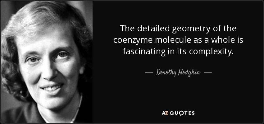 The detailed geometry of the coenzyme molecule as a whole is fascinating in its complexity. - Dorothy Hodgkin