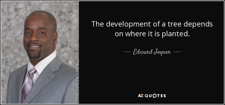 The development of a tree depends on where it is planted. - Edward Joyner