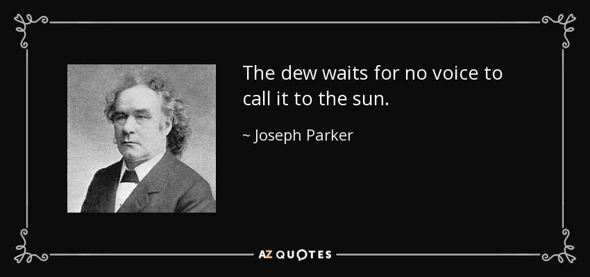 The dew waits for no voice to call it to the sun. - Joseph Parker