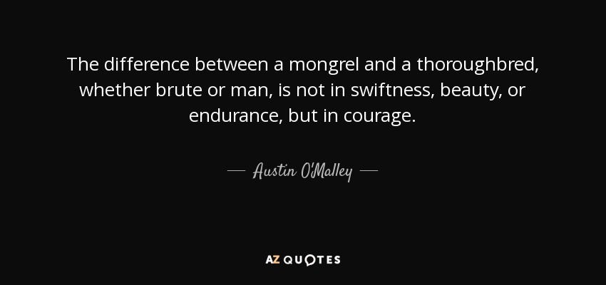 The difference between a mongrel and a thoroughbred, whether brute or man, is not in swiftness, beauty, or endurance, but in courage. - Austin O'Malley