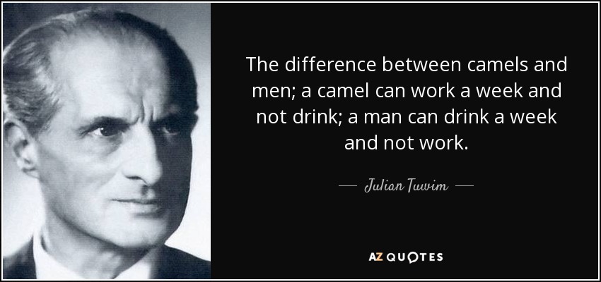 The difference between camels and men; a camel can work a week and not drink; a man can drink a week and not work. - Julian Tuwim