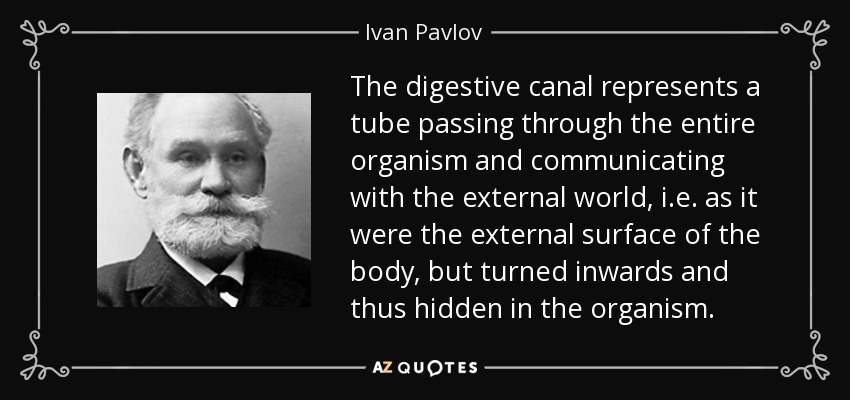 The digestive canal represents a tube passing through the entire organism and communicating with the external world, i.e. as it were the external surface of the body, but turned inwards and thus hidden in the organism. - Ivan Pavlov