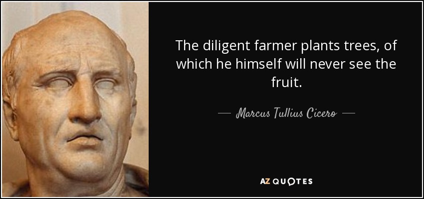 The diligent farmer plants trees, of which he himself will never see the fruit. - Marcus Tullius Cicero