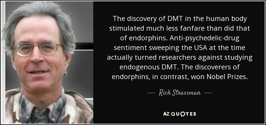 The discovery of DMT in the human body stimulated much less fanfare than did that of endorphins. Anti-psychedelic-drug sentiment sweeping the USA at the time actually turned researchers against studying endogenous DMT. The discoverers of endorphins, in contrast, won Nobel Prizes. - Rick Strassman