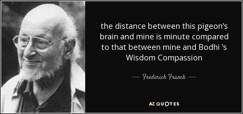 the distance between this pigeon's brain and mine is minute compared to that between mine and Bodhi 's Wisdom Compassion - Frederick Franck