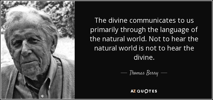 The divine communicates to us primarily through the language of the natural world. Not to hear the natural world is not to hear the divine. - Thomas Berry