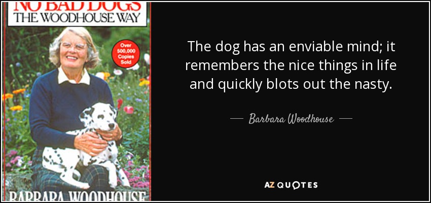 The dog has an enviable mind; it remembers the nice things in life and quickly blots out the nasty. - Barbara Woodhouse