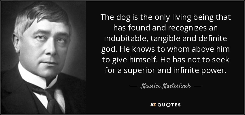 The dog is the only living being that has found and recognizes an indubitable, tangible and definite god. He knows to whom above him to give himself. He has not to seek for a superior and infinite power. - Maurice Maeterlinck