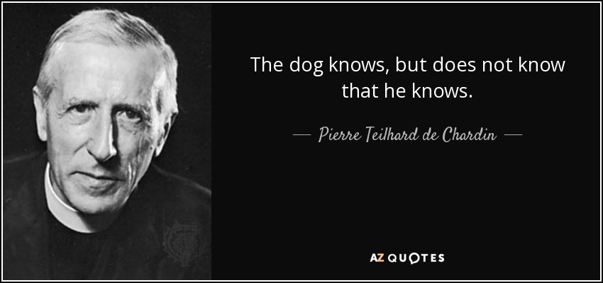 The dog knows, but does not know that he knows. - Pierre Teilhard de Chardin