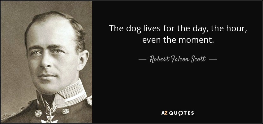 The dog lives for the day, the hour, even the moment. - Robert Falcon Scott