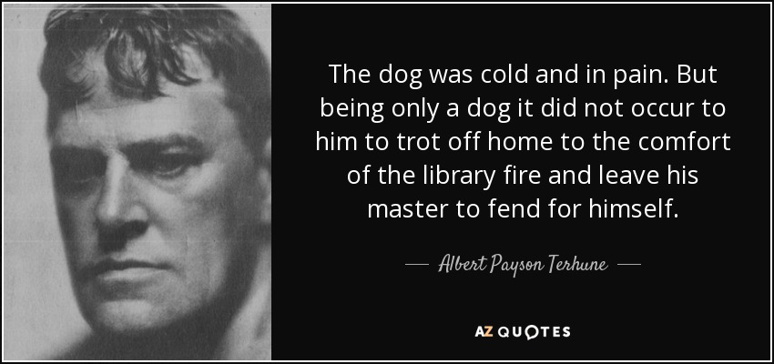The dog was cold and in pain. But being only a dog it did not occur to him to trot off home to the comfort of the library fire and leave his master to fend for himself. - Albert Payson Terhune