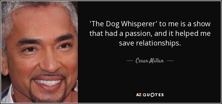 'The Dog Whisperer' to me is a show that had a passion, and it helped me save relationships. - Cesar Millan