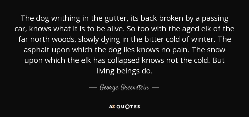 The dog writhing in the gutter, its back broken by a passing car, knows what it is to be alive. So too with the aged elk of the far north woods, slowly dying in the bitter cold of winter. The asphalt upon which the dog lies knows no pain. The snow upon which the elk has collapsed knows not the cold. But living beings do. - George Greenstein