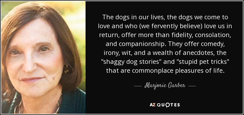The dogs in our lives, the dogs we come to love and who (we fervently believe) love us in return, offer more than fidelity, consolation, and companionship. They offer comedy, irony, wit, and a wealth of anecdotes, the 