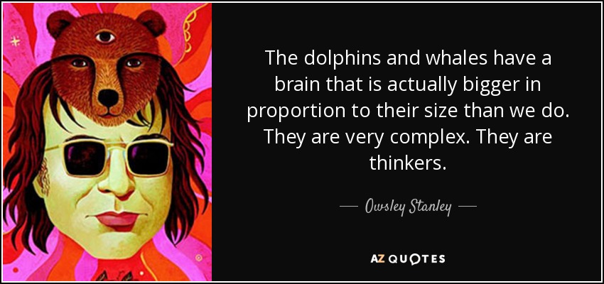 The dolphins and whales have a brain that is actually bigger in proportion to their size than we do. They are very complex. They are thinkers. - Owsley Stanley