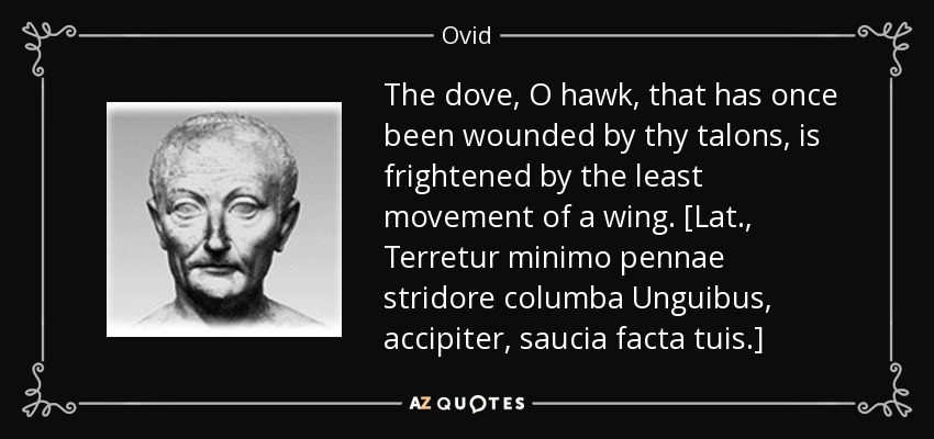 The dove, O hawk, that has once been wounded by thy talons, is frightened by the least movement of a wing. [Lat., Terretur minimo pennae stridore columba Unguibus, accipiter, saucia facta tuis.] - Ovid