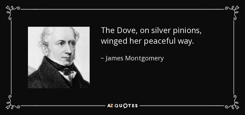 The Dove, on silver pinions, winged her peaceful way. - James Montgomery