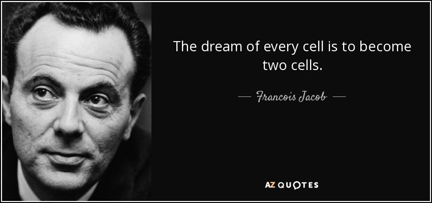 The dream of every cell is to become two cells. - Francois Jacob