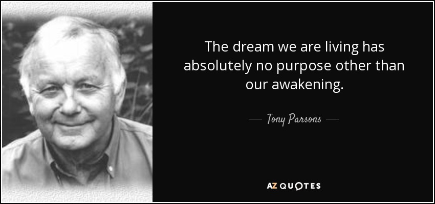 The dream we are living has absolutely no purpose other than our awakening. - Tony Parsons