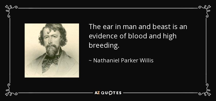The ear in man and beast is an evidence of blood and high breeding. - Nathaniel Parker Willis