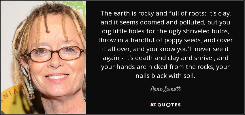 The earth is rocky and full of roots; it's clay, and it seems doomed and polluted, but you dig little holes for the ugly shriveled bulbs, throw in a handful of poppy seeds, and cover it all over, and you know you'll never see it again - it's death and clay and shrivel, and your hands are nicked from the rocks, your nails black with soil. - Anne Lamott