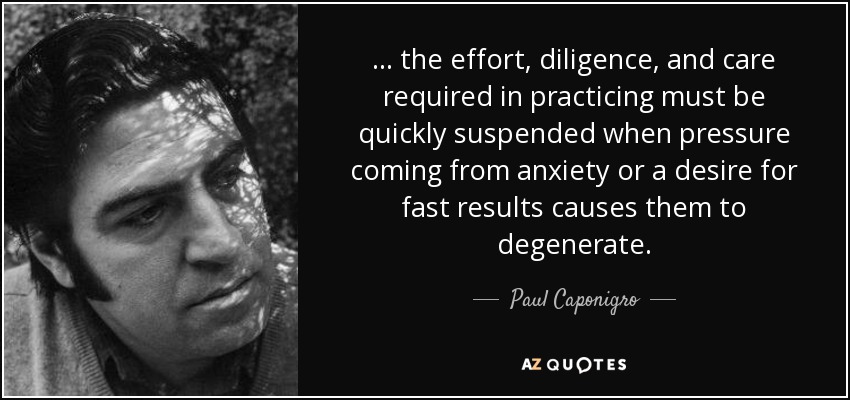 ... the effort, diligence, and care required in practicing must be quickly suspended when pressure coming from anxiety or a desire for fast results causes them to degenerate. - Paul Caponigro