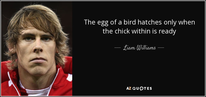 The egg of a bird hatches only when the chick within is ready - Liam Williams