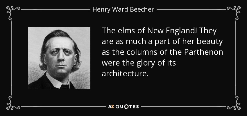 The elms of New England! They are as much a part of her beauty as the columns of the Parthenon were the glory of its architecture. - Henry Ward Beecher