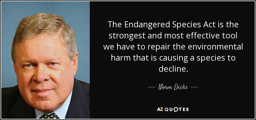 The Endangered Species Act is the strongest and most effective tool we have to repair the environmental harm that is causing a species to decline. - Norm Dicks