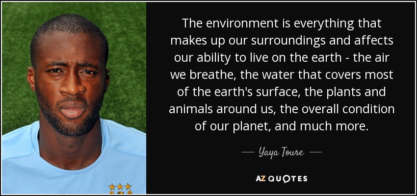 The environment is everything that makes up our surroundings and affects our ability to live on the earth - the air we breathe, the water that covers most of the earth's surface, the plants and animals around us, the overall condition of our planet, and much more. - Yaya Toure