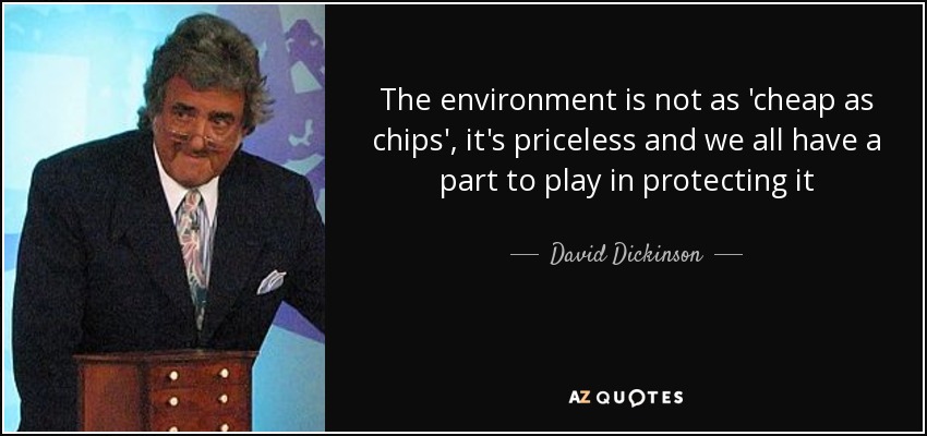 The environment is not as 'cheap as chips', it's priceless and we all have a part to play in protecting it - David Dickinson