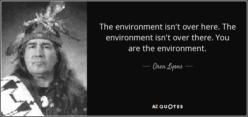 The environment isn't over here. The environment isn't over there. You are the environment. - Oren Lyons
