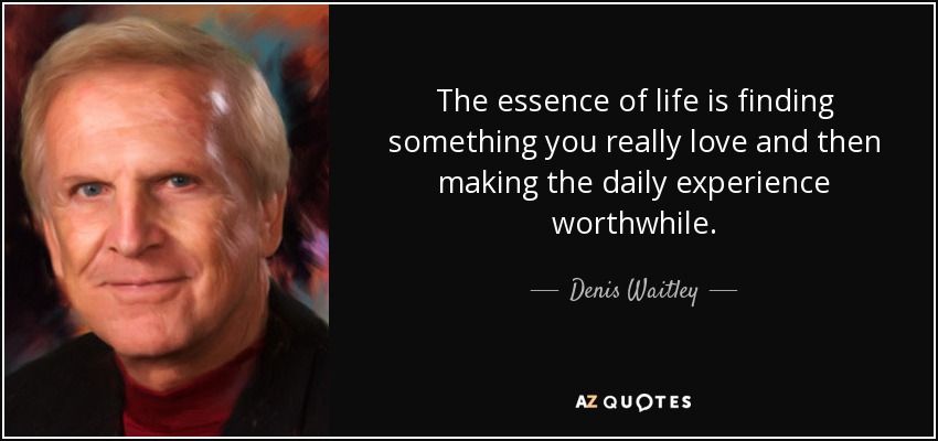 The essence of life is finding something you really love and then making the daily experience worthwhile. - Denis Waitley