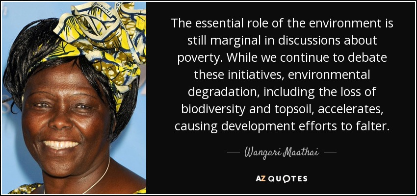 The essential role of the environment is still marginal in discussions about poverty. While we continue to debate these initiatives, environmental degradation, including the loss of biodiversity and topsoil, accelerates, causing development efforts to falter. - Wangari Maathai