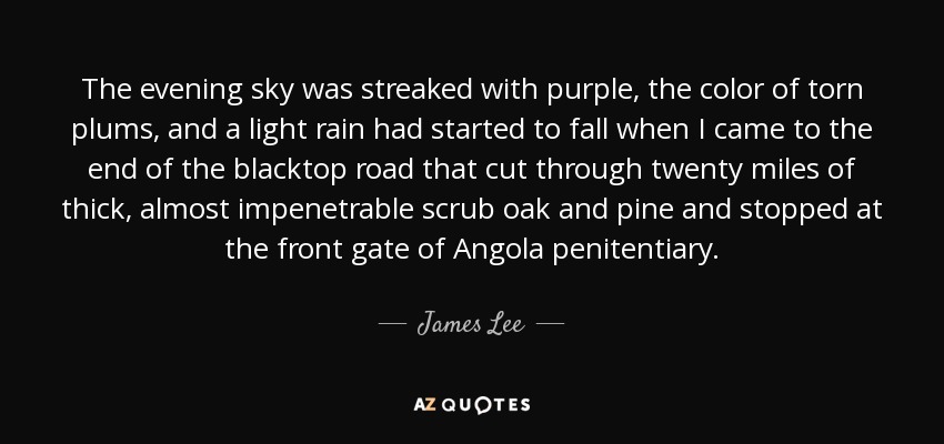 The evening sky was streaked with purple, the color of torn plums, and a light rain had started to fall when I came to the end of the blacktop road that cut through twenty miles of thick, almost impenetrable scrub oak and pine and stopped at the front gate of Angola penitentiary. - James Lee