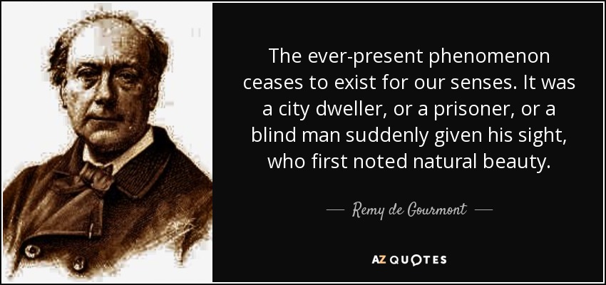 The ever-present phenomenon ceases to exist for our senses. It was a city dweller, or a prisoner, or a blind man suddenly given his sight, who first noted natural beauty. - Remy de Gourmont