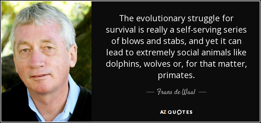 The evolutionary struggle for survival is really a self-serving series of blows and stabs, and yet it can lead to extremely social animals like dolphins, wolves or, for that matter, primates. - Frans de Waal