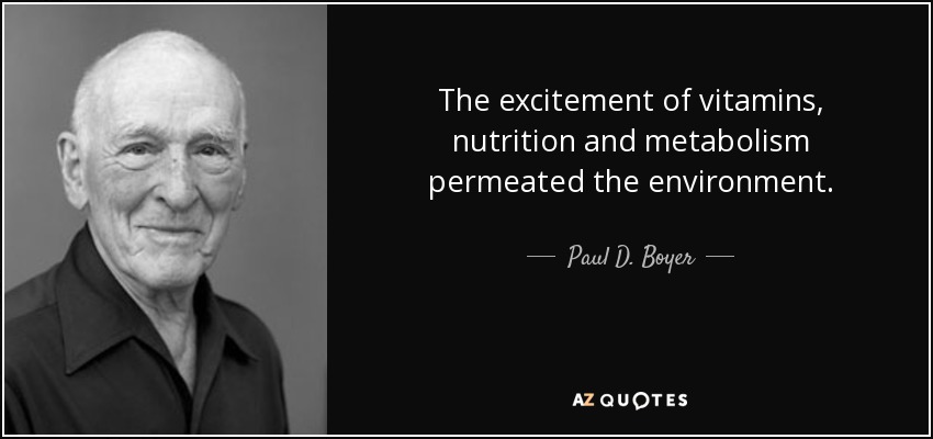 The excitement of vitamins, nutrition and metabolism permeated the environment. - Paul D. Boyer