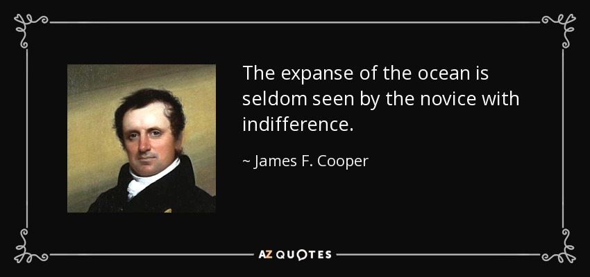 The expanse of the ocean is seldom seen by the novice with indifference. - James F. Cooper
