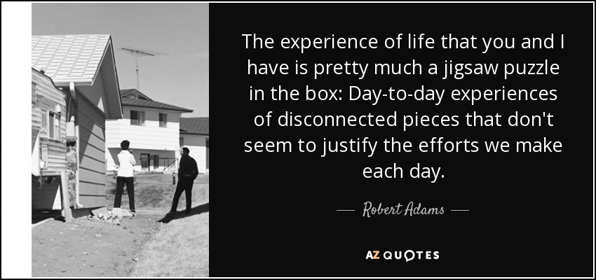 The experience of life that you and I have is pretty much a jigsaw puzzle in the box: Day-to-day experiences of disconnected pieces that don't seem to justify the efforts we make each day. - Robert Adams