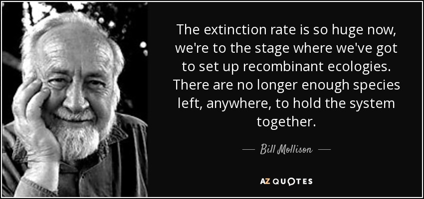 The extinction rate is so huge now, we're to the stage where we've got to set up recombinant ecologies. There are no longer enough species left, anywhere, to hold the system together. - Bill Mollison